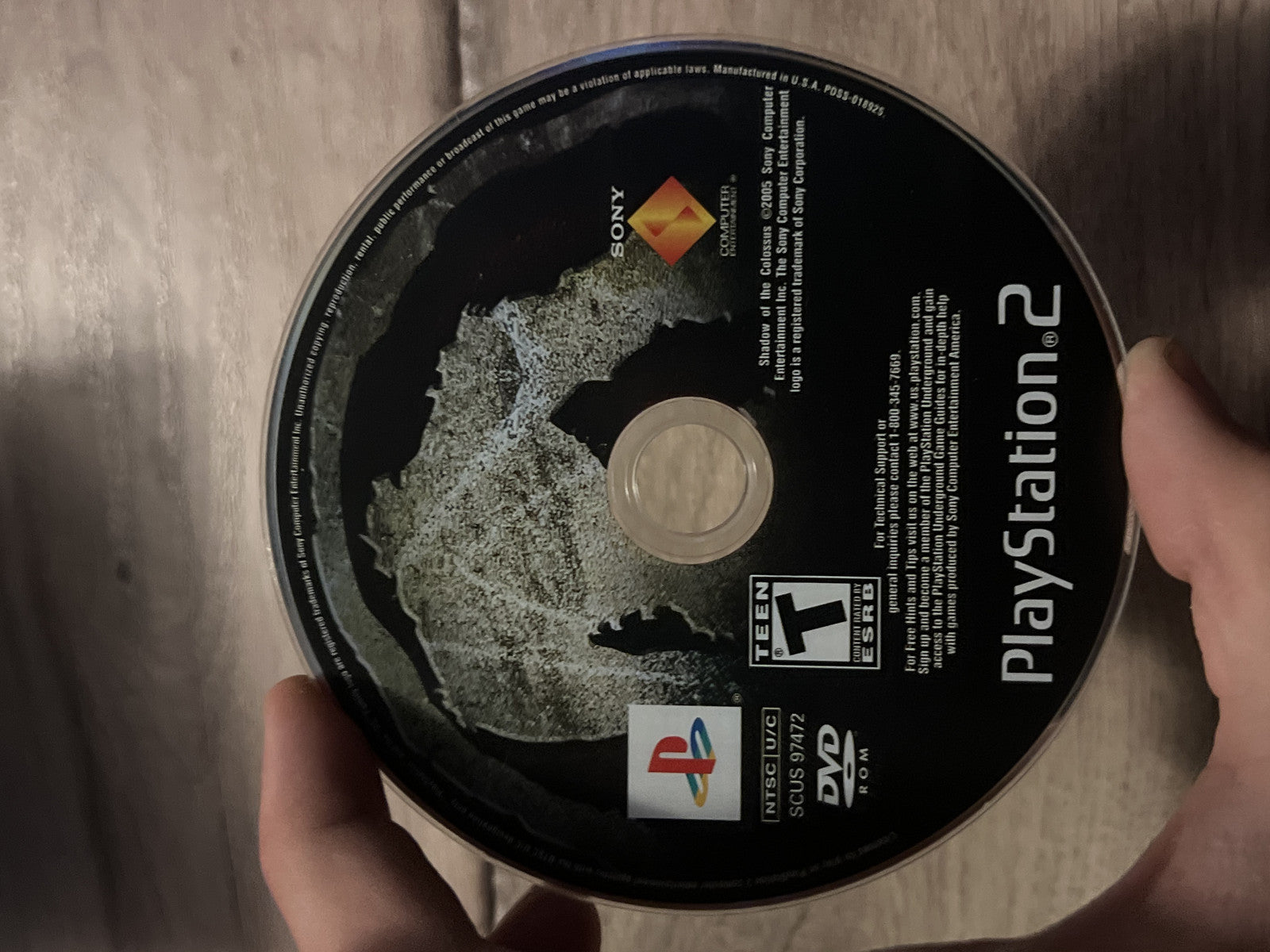 Shadow of the Colossus (Sony Playstation 2 PS2, 2005) CART ONLY