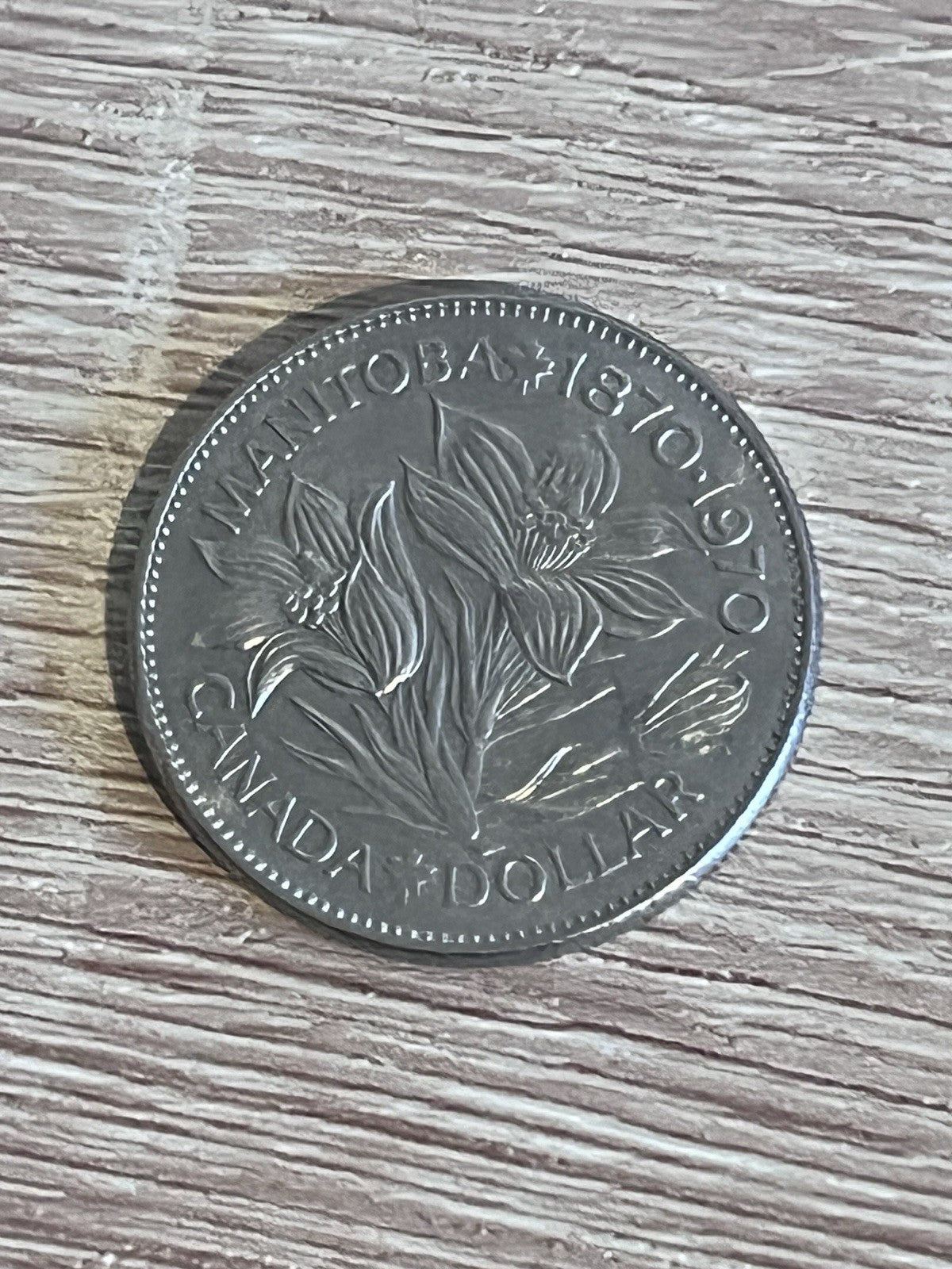 Canada 1970 Prooflike Tarnished $1 Coin (Manitoba 1870-1970) Dollar