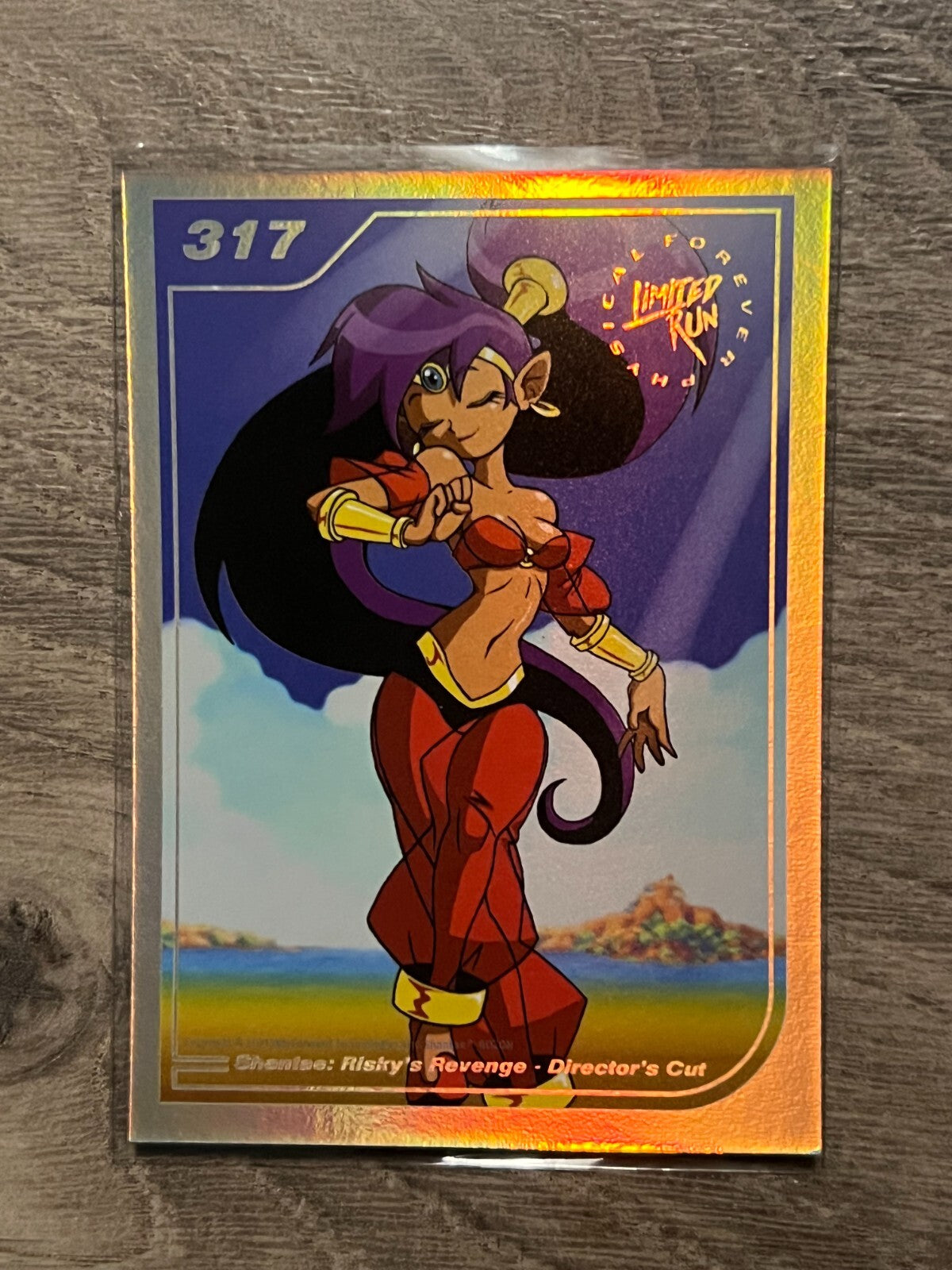 Limited Run Silver Card Series 2 #317: Shantae's Risky Revenge Director's Cut