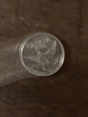 Canada Coin Medallion Millennium 1999-2000 Issue from Canada Post
