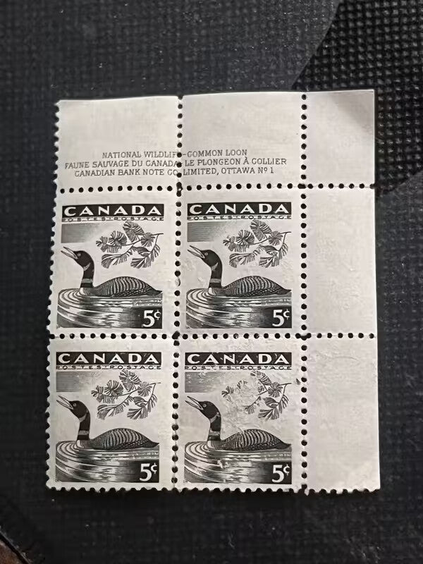 Canada 5 Cent 1957 MNH # 369 Wildlife Loon Corner Block