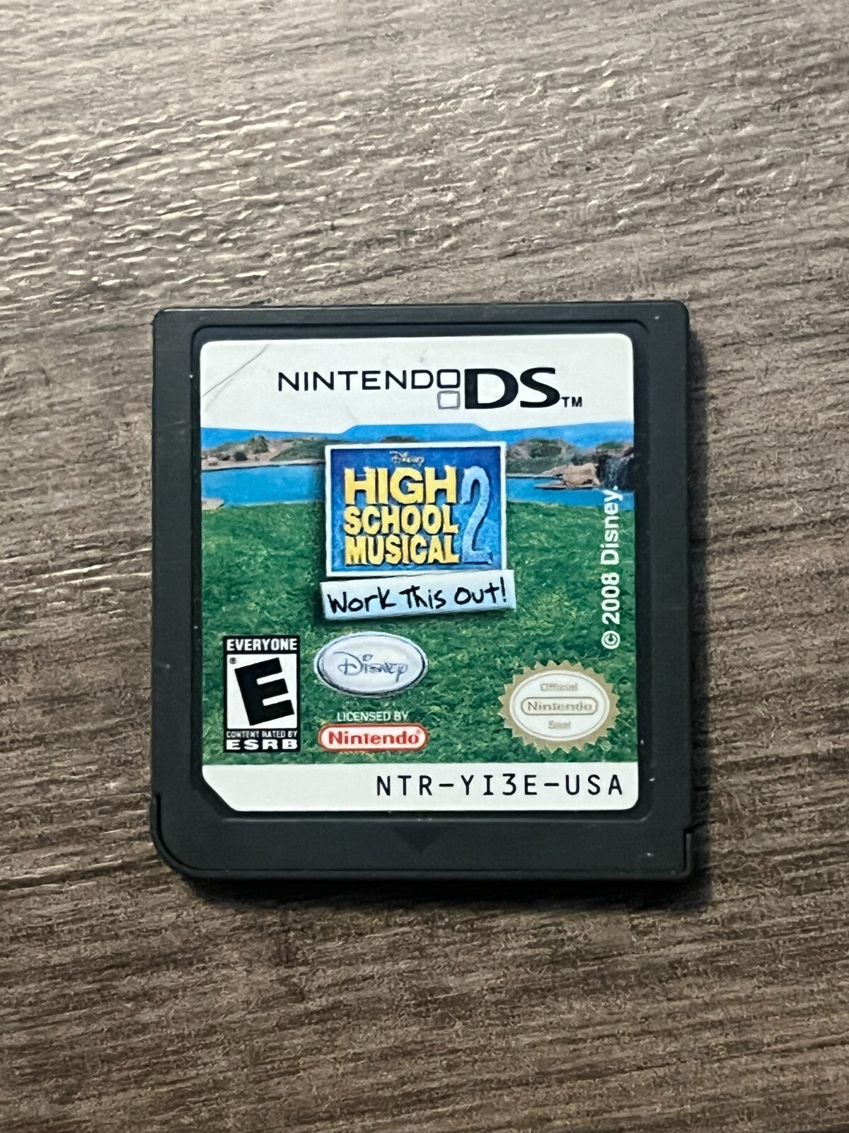 High School Musical 2: Work This Out (Nintendo DS, 2008) CART ONLY