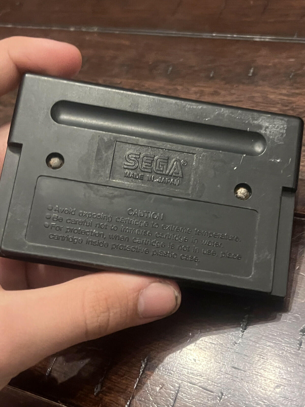 Fatal Labyrinth (Sega Genesis, 1991) CART ONLY