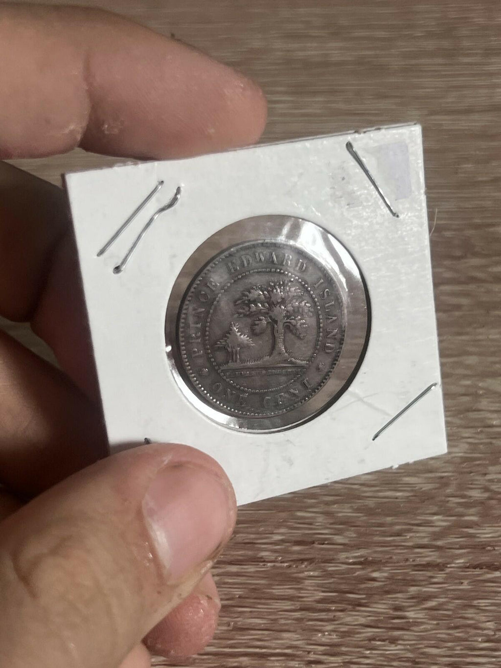 1871 Prince Edward Island Cent Victoria Coin VF-20 Details