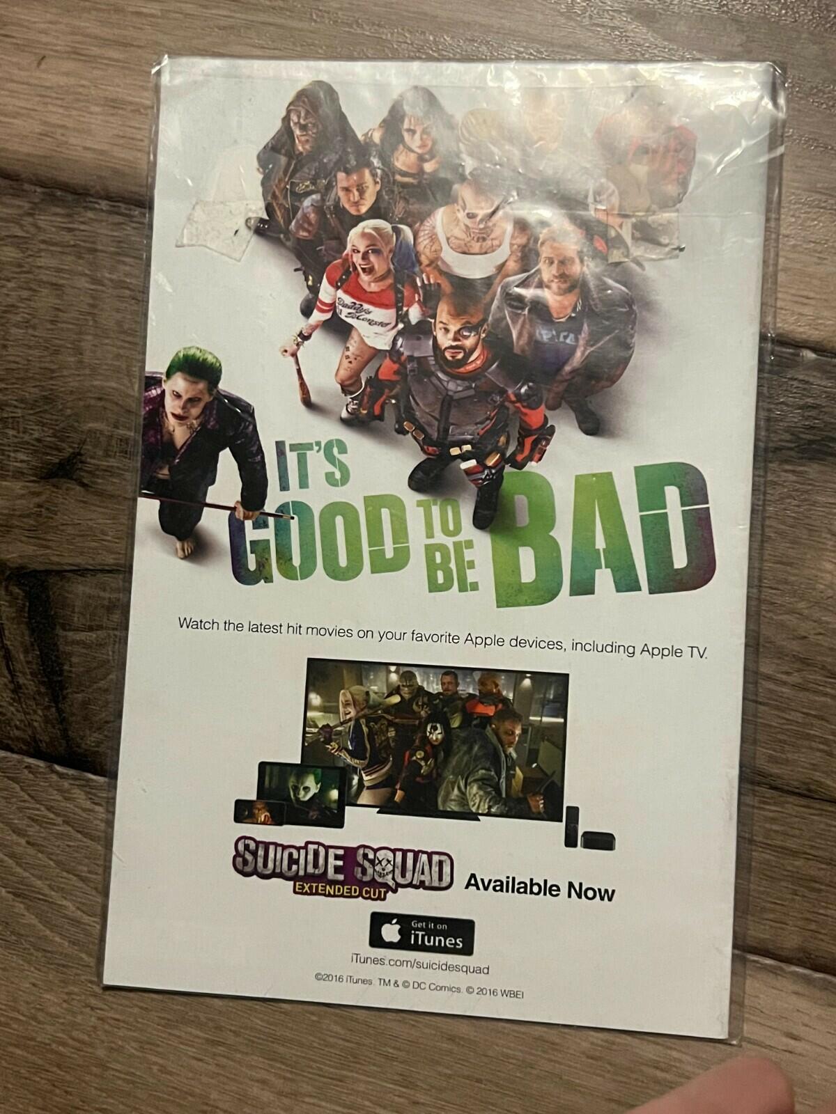 DC Comics: DC Universe Rebirth Flash #13 2017