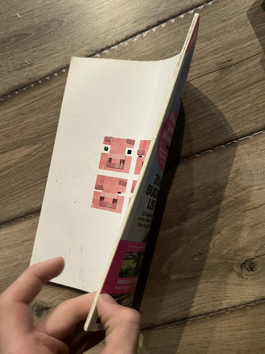 Ultimate Guide Minecraft Whole Hog Building Blowout Feb Mar 2016 FREE SHIPPING