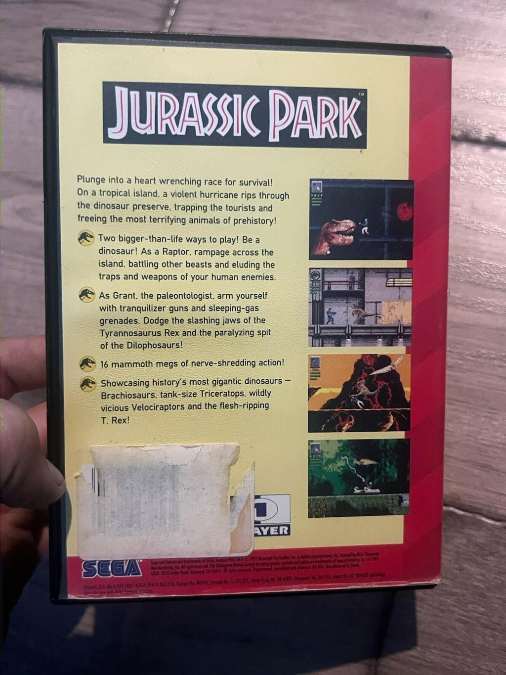 Jurassic Park (Sega Genesis, 1994) ARTWORK ONLY