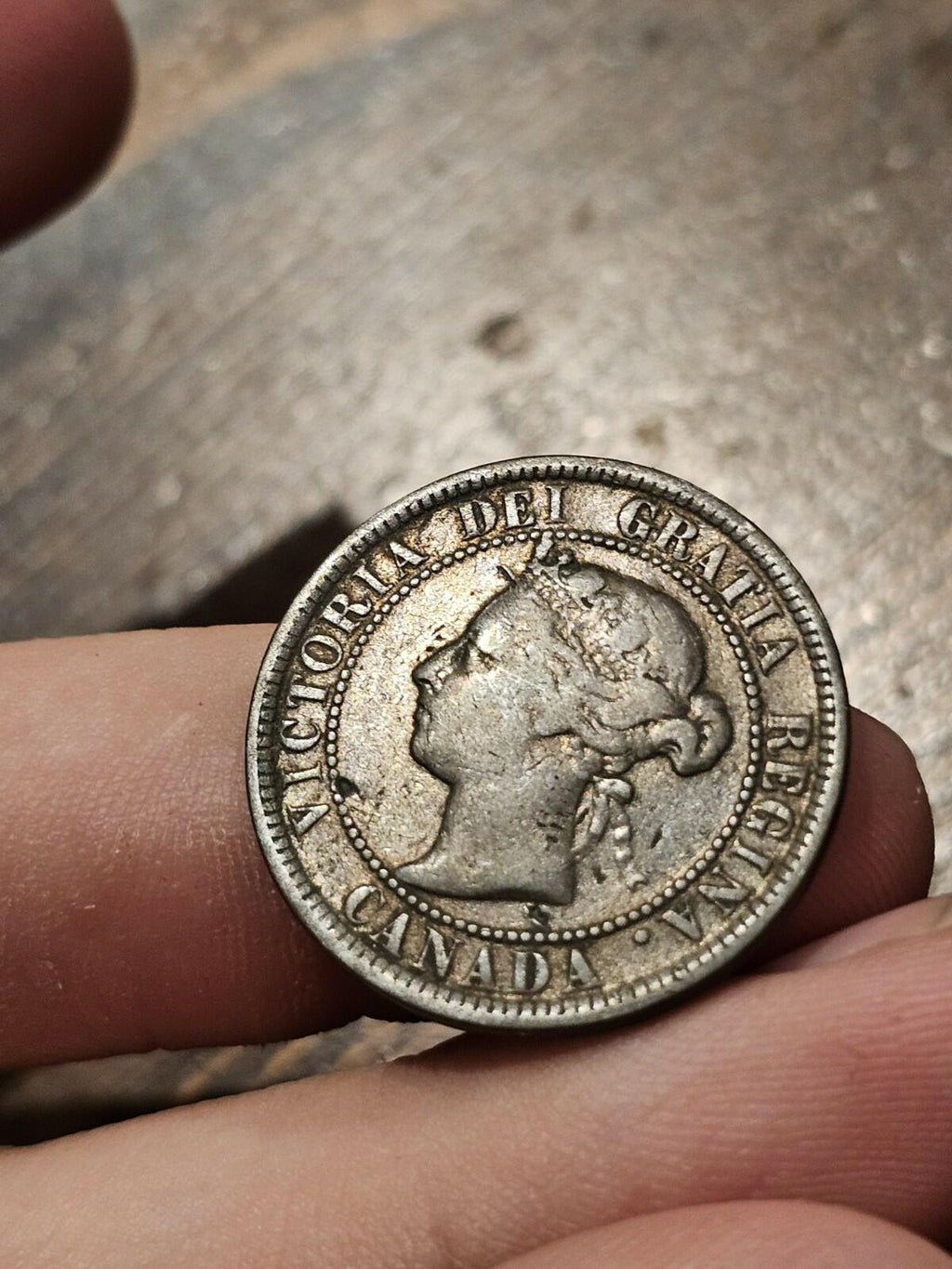 1884 Canada Large Penny Cent Coin