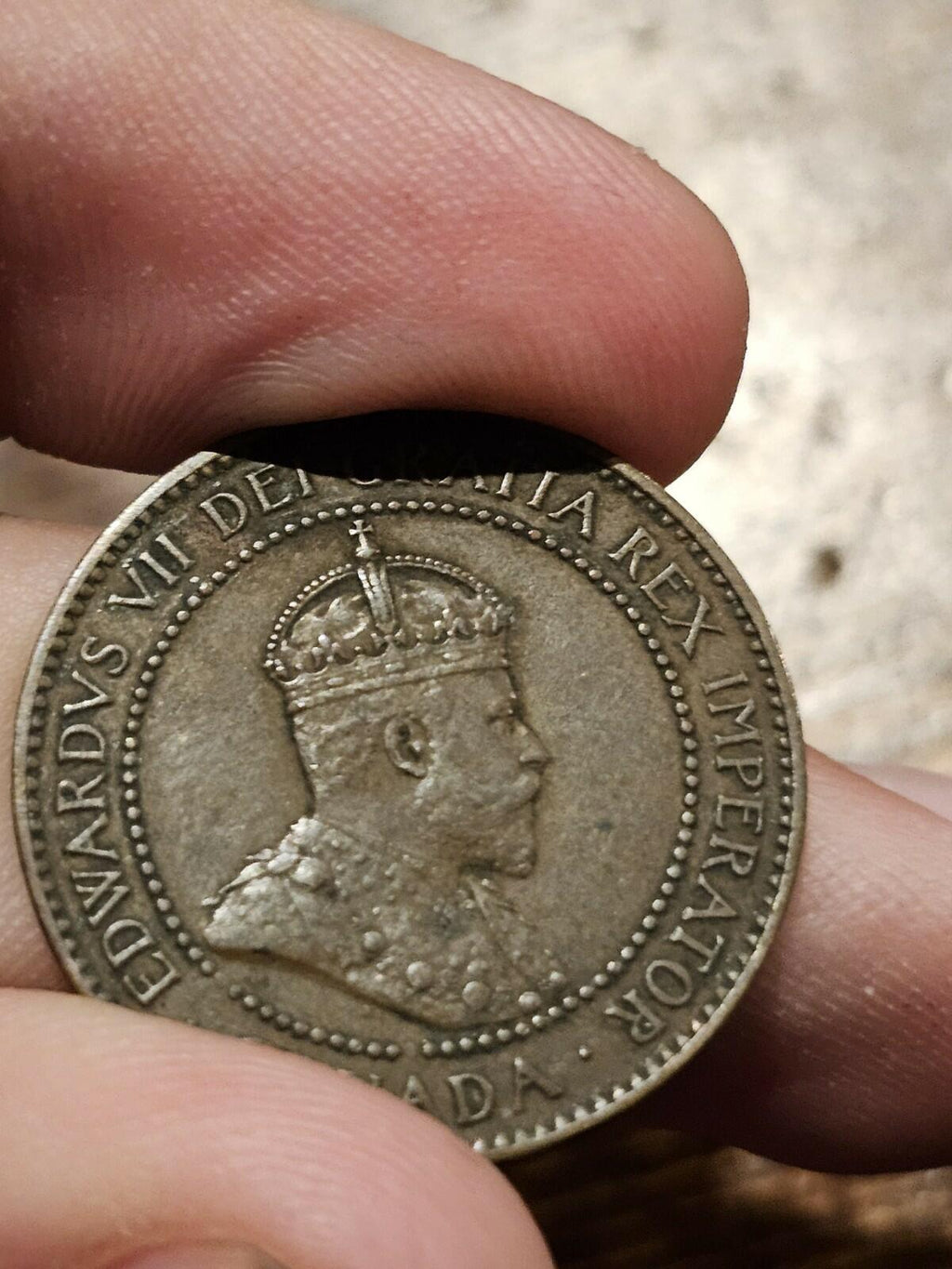 1906 Canada Large Cent Penny King Edward VII