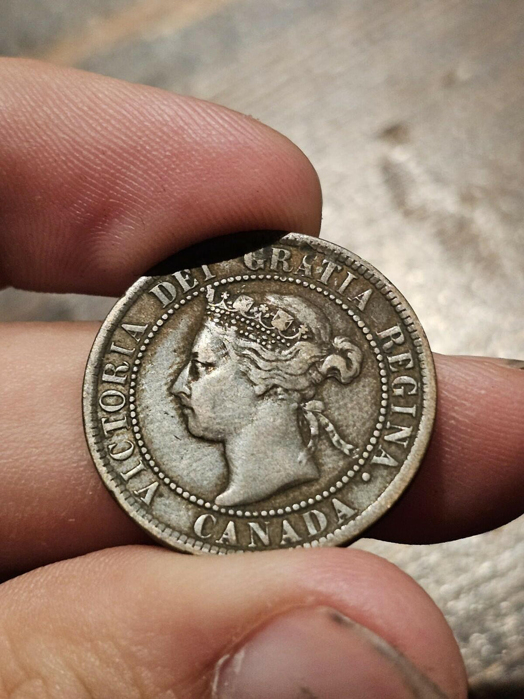 1895 Canada Large Cent Queen Victoria